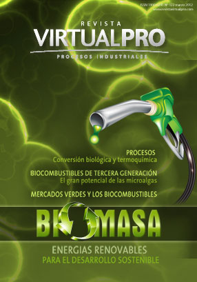 Portada revista Energías renovables para el desarrollo sostenible - Biomasa