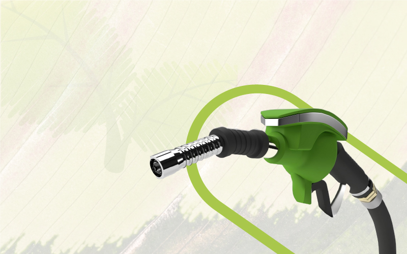 Optimización de procesos de producción de biocombustibles