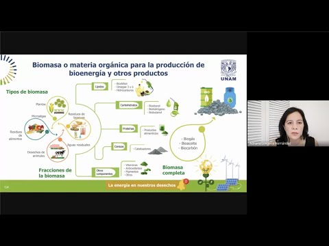 Webinar: La energía del sol atrapada en la biomasa