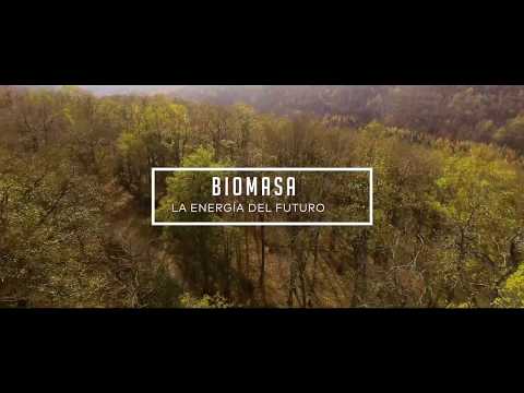 Biomasa