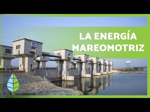 ¿Qué es la energía mareomotriz? (Cómo funciona, tipos y características)