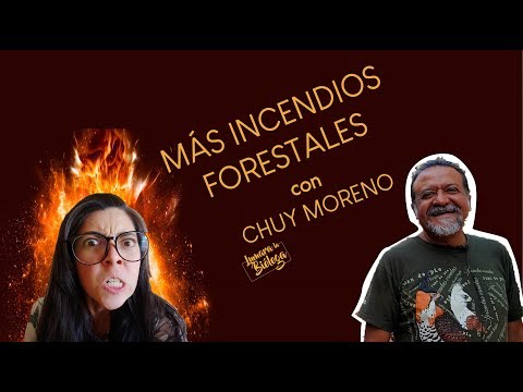 Bosque La Primavera e Incendios Forestales ¿Cómo ayudar? |Entrevista a Chuy Moreno