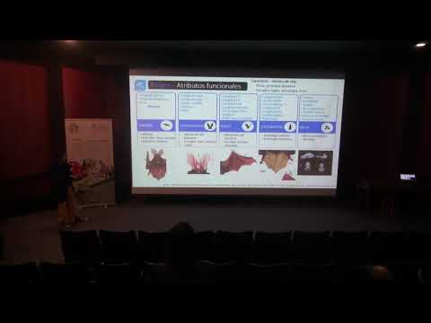 Grupos funcionales de los murciélagos presentes en la ciudad de Bogotá