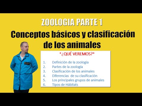 Zoologia Parte 1: Conceptos y clasificación de los animales