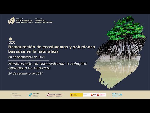 Restauración de ecosistemas y soluciones basadas  en la naturaleza