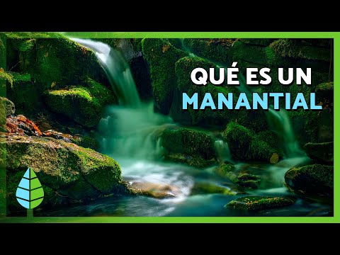 Manantiales de agua. Qué son, cómo se forman e importancia