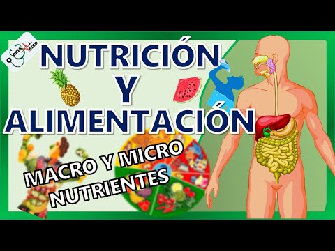 Conceptos básicos de nutrición y alimentación