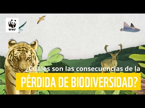 ¿Cuáles son las consecuencias de la pérdida de biodiversidad?