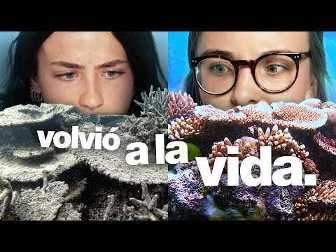 El coral que volvió a la vida