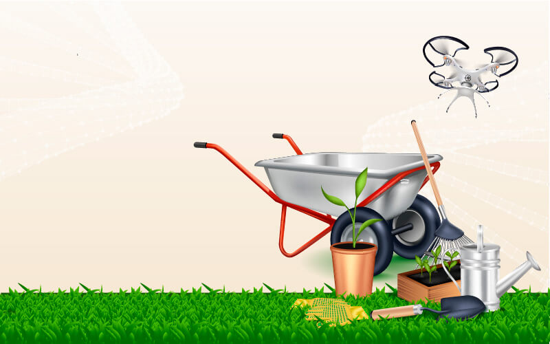 Biotecnología: biotecnología agrícola