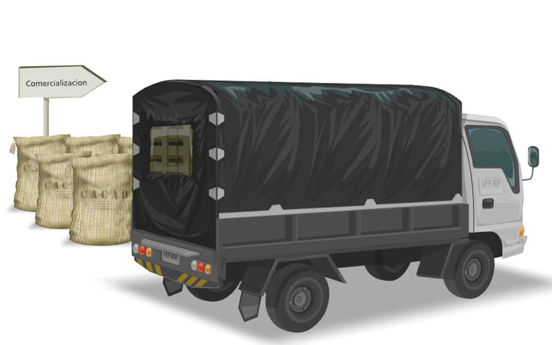 Comercialización del cacao