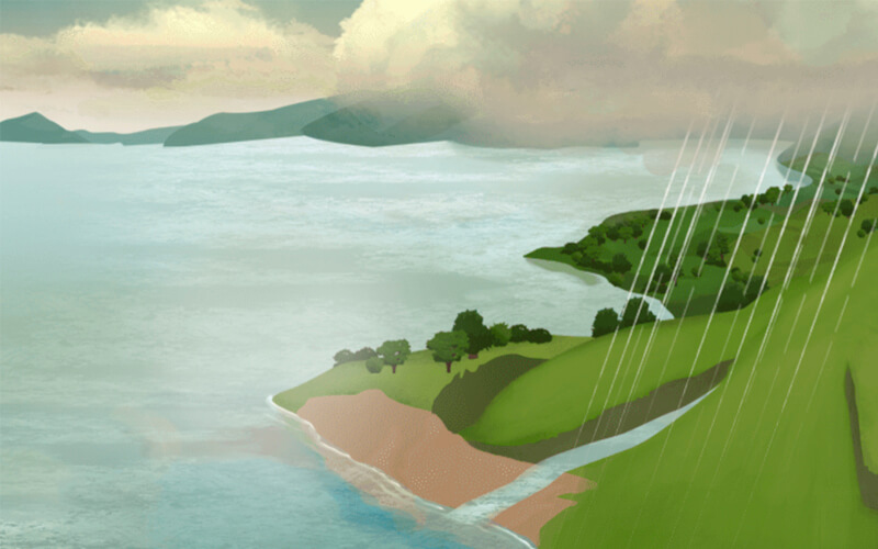 Contaminación y directrices