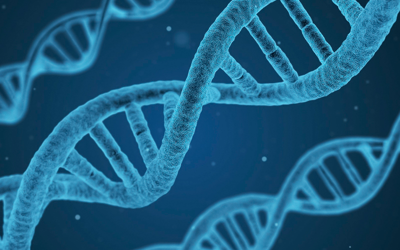 Generalidades de expresión génica - fundamentos