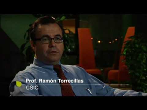 Nanocompuestos estructurales de cerámica para aplicaciones funcionales de alta gama