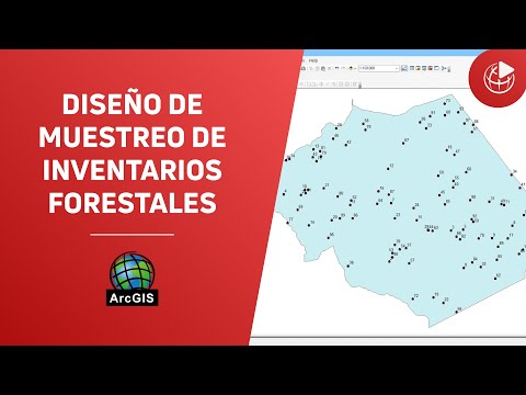 Diseño de muestreo de inventarios forestales con ArcGIS