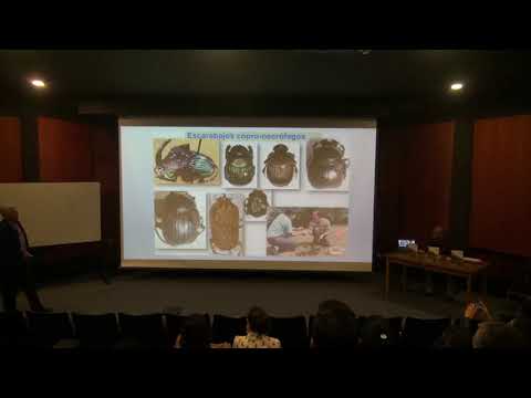 Lanzamiento de Escarabajos del Neotrópico