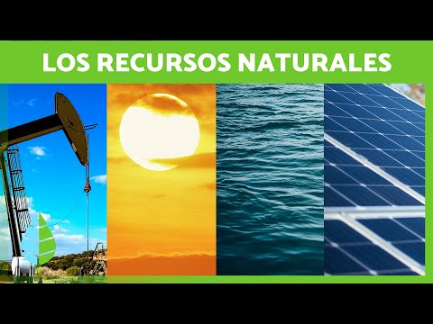 ¿Qué son los recursos naturales? (Definición, clasificación y ejemplos)
