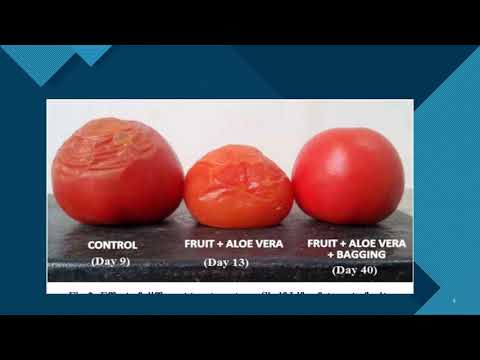 Recubrimientos, peliculas y tecnologia de barreras