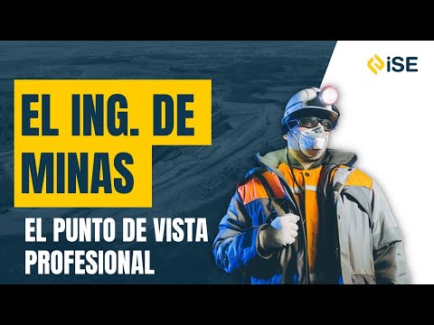 El ingeniero de minas, desde el punto de vista profesional
