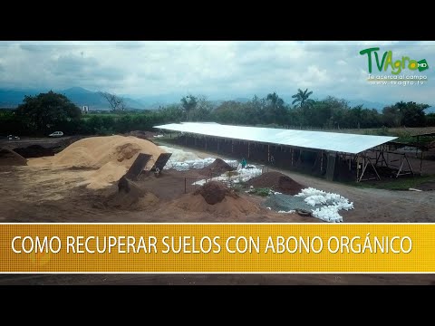 Como Recuperar Suelos con Abono Organico - TvAgro por Juan Gonzalo Angel Restrepo